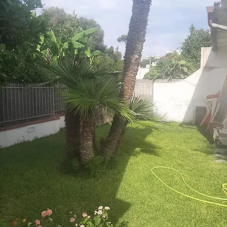 A Un Passo Dal Mare Appartement *